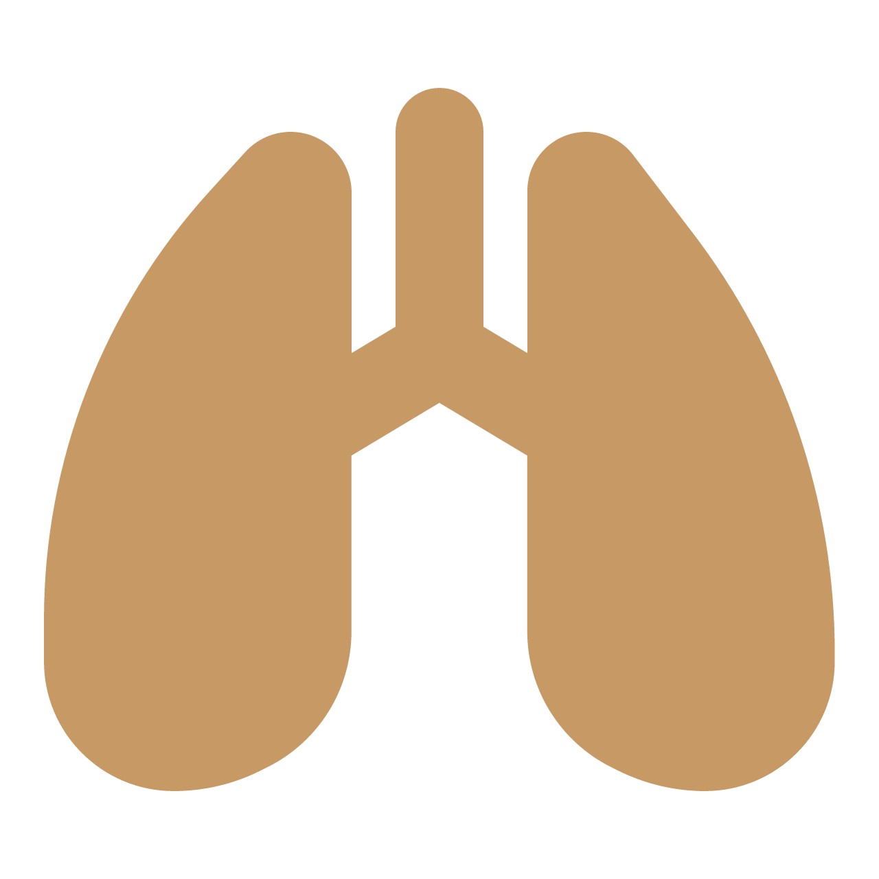 lungs solid full
