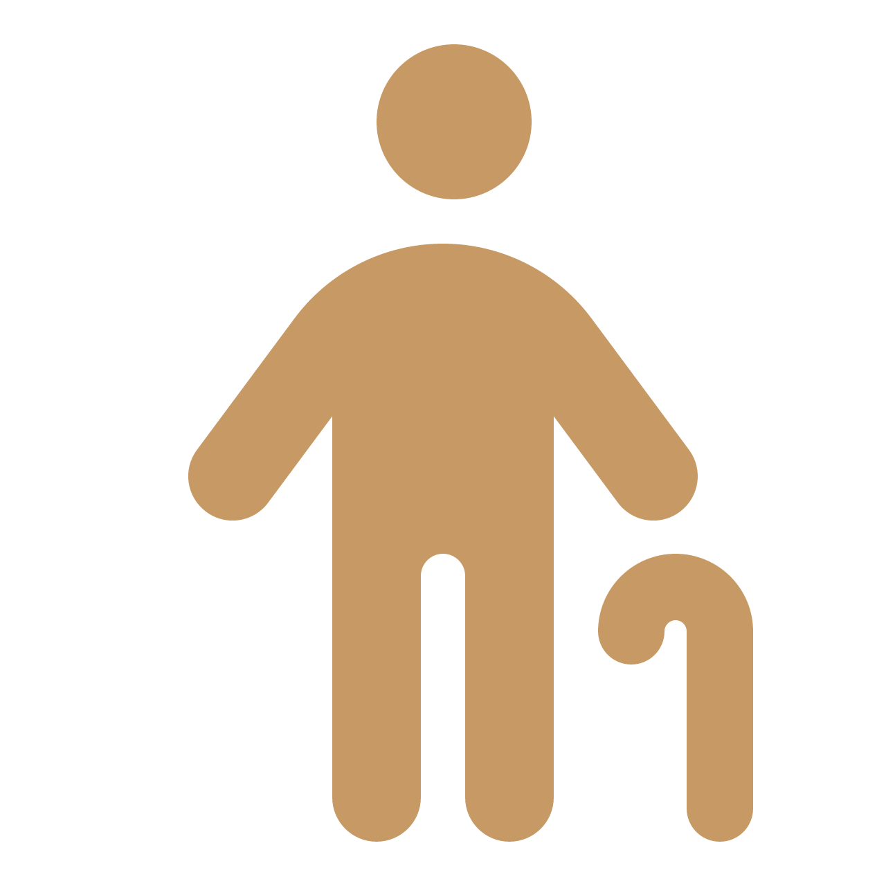 person cane solid full